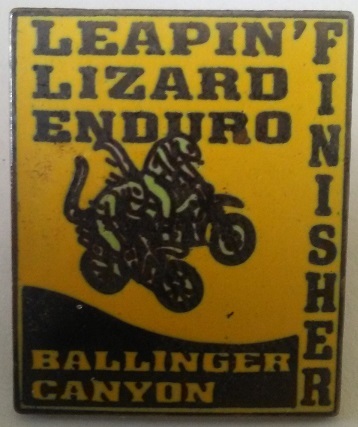 Leapin Lizard Pin