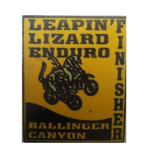 Leapin lizard pin