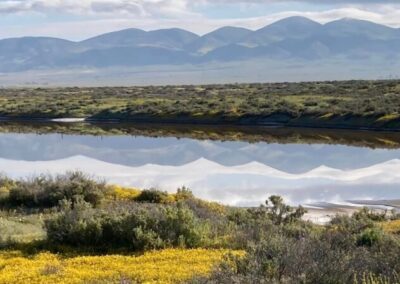 soda dry lake